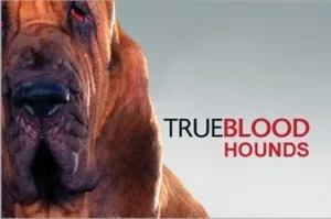 True Blood Hounds