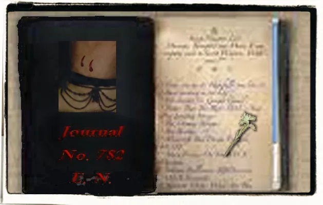 E.N. Journal 3