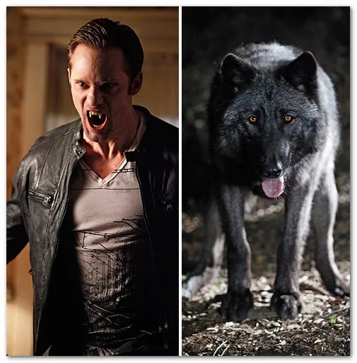Alexander Skarsgård as Eric Northman attacking a wolf