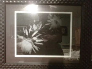 Unknown framed artwork sent by HBO